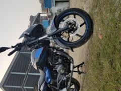 Bajaj Pulsar 150 Twin Disc